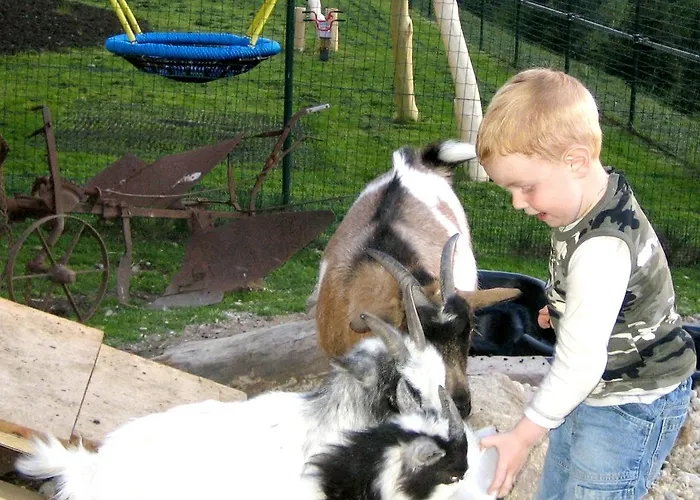 Autobahnrestaurant & Motorhotel * Zobern